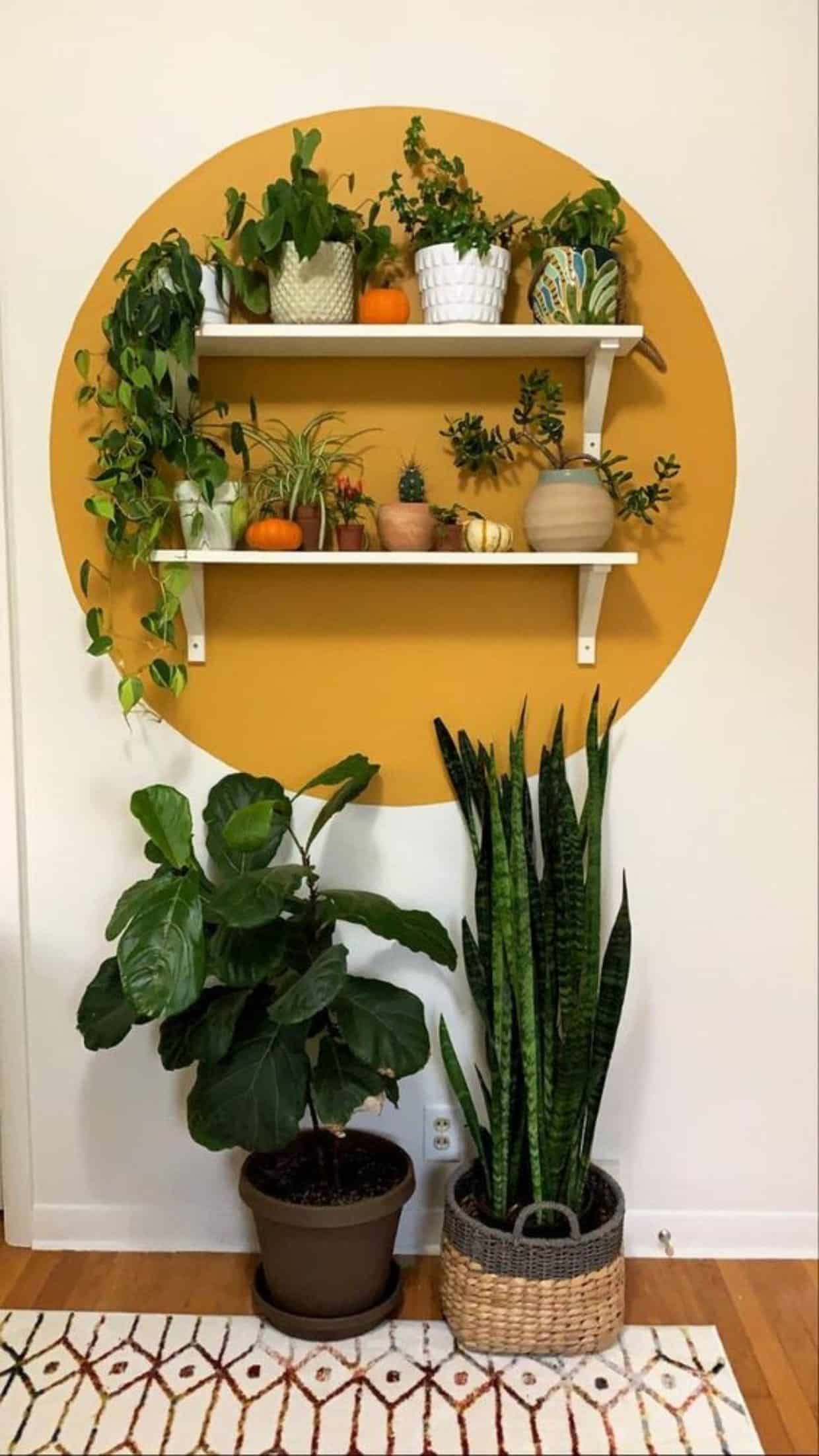plantas em apartamento 1 1