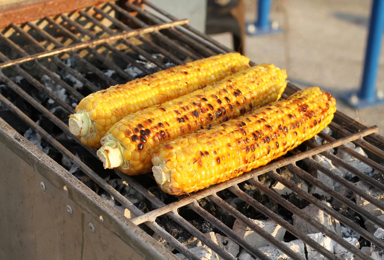 Como fazer churrasco vegetariano