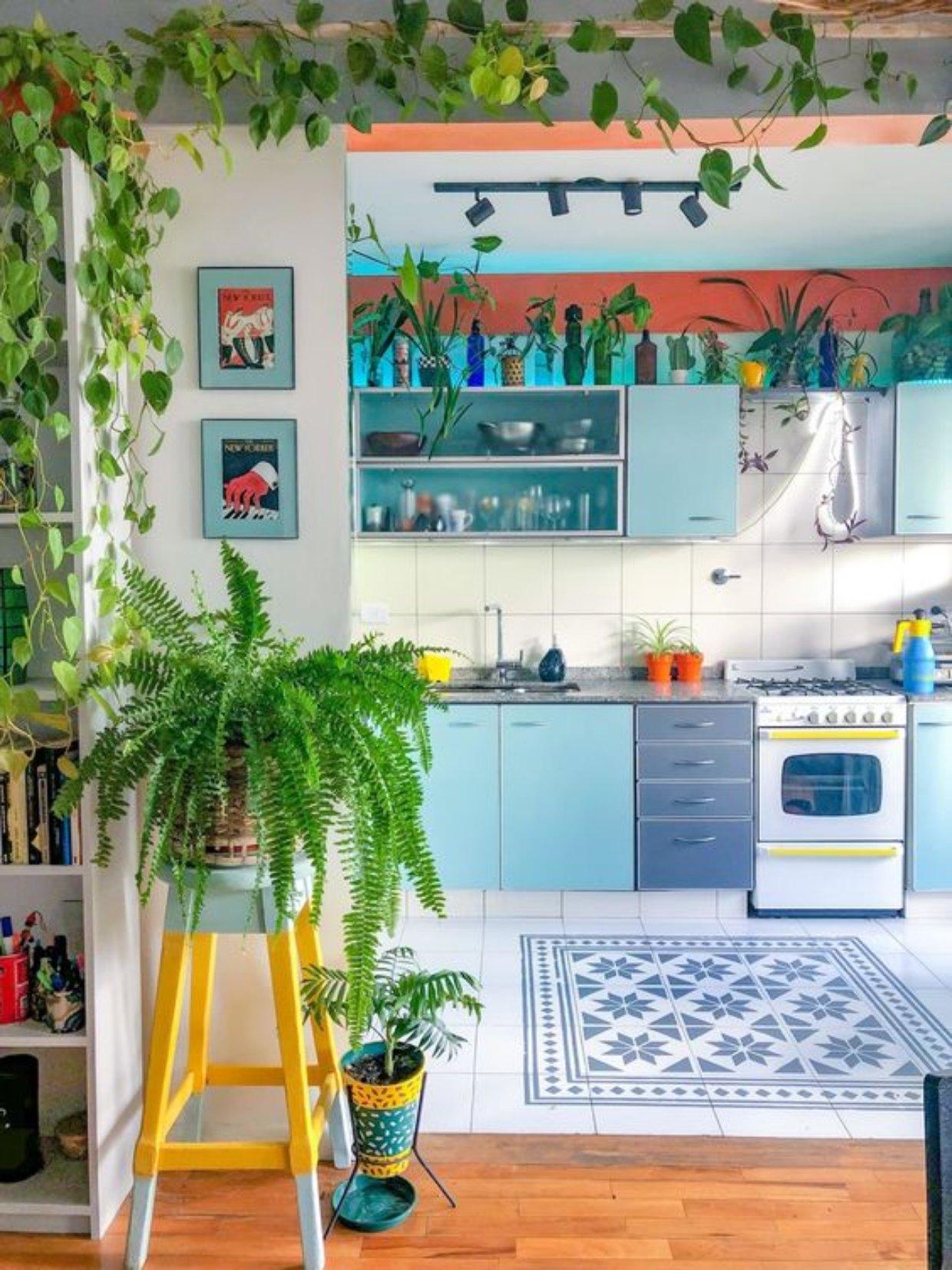 cozinhas com plantas