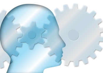 Suplementos para a Função Cognitiva