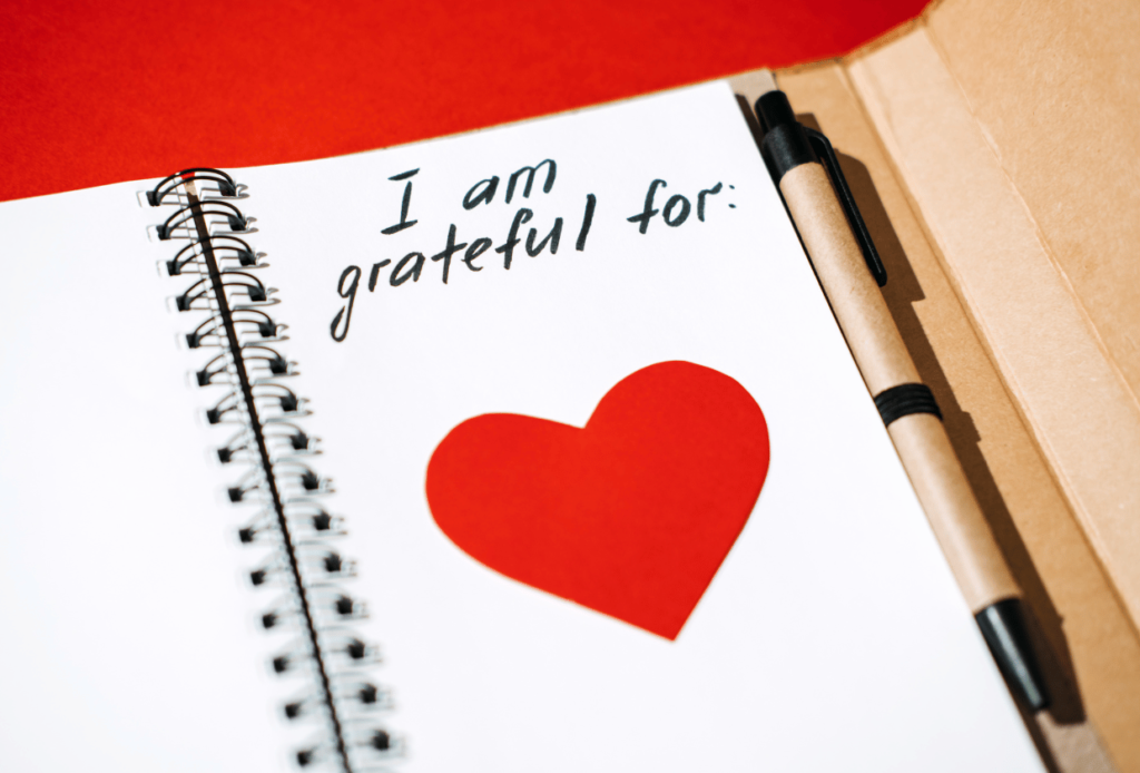 como fazer um diario de gratidão