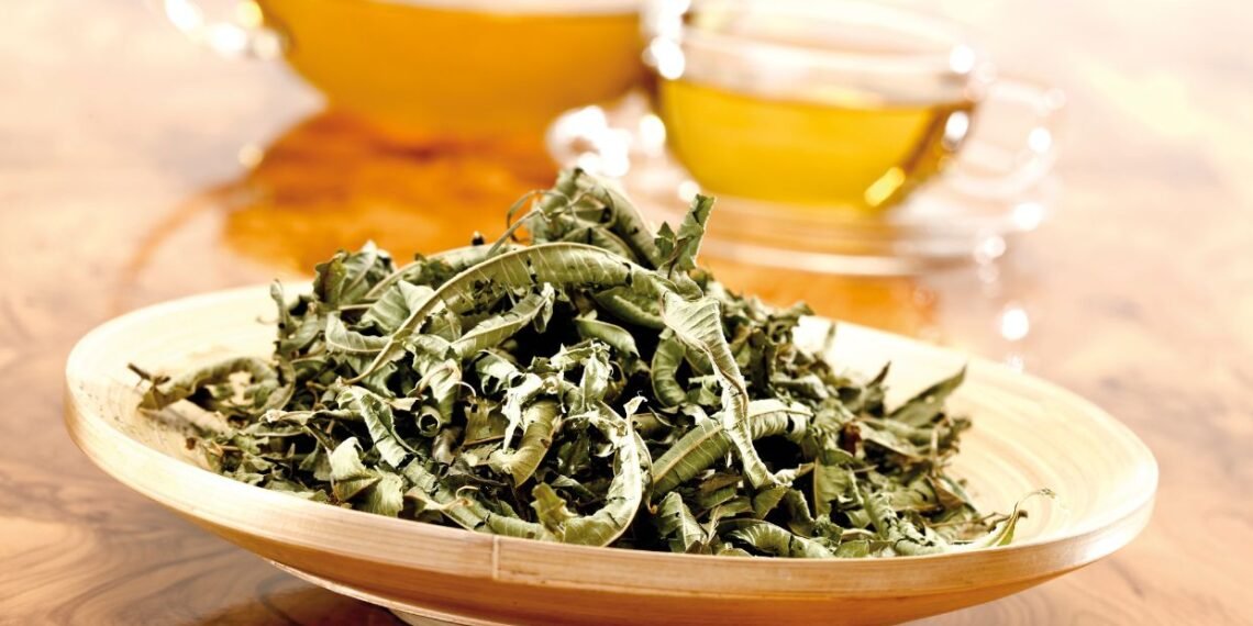 Espinheira Santa emagrece