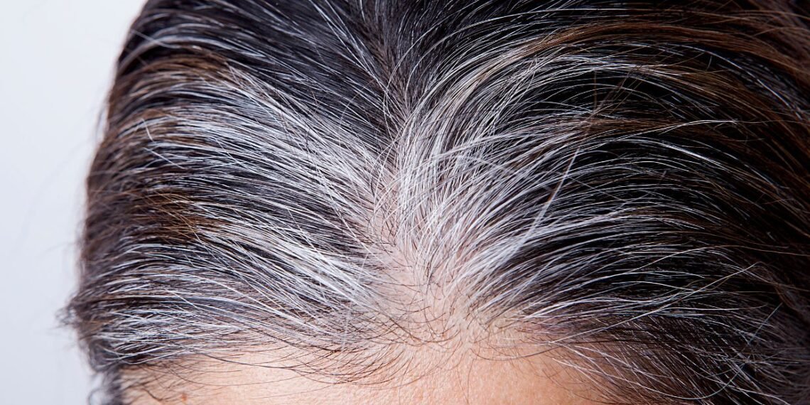Como Colorir os Cabelos Brancos em Casa: Guia Completo para um Visual Impecável 1 qual a melhor tinta para cabelos brancos