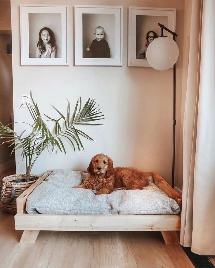 Cantinho do pet: como montar um espaço pro seu cachorro confortável em casa (sem bagunçar a decoração!) 6 Como montar um espaço pro cachorro