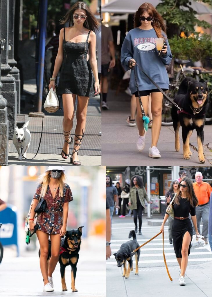 Look para passear com o cachorro: estilo e conforto que transformam até a volta do quarteirão em um momento especial 12 Looks para passear