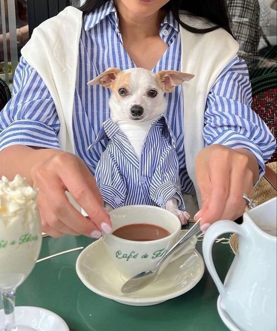 Look para passear com o cachorro: estilo e conforto que transformam até a volta do quarteirão em um momento especial 11 Inspirações de Looks para passear com o cachorro