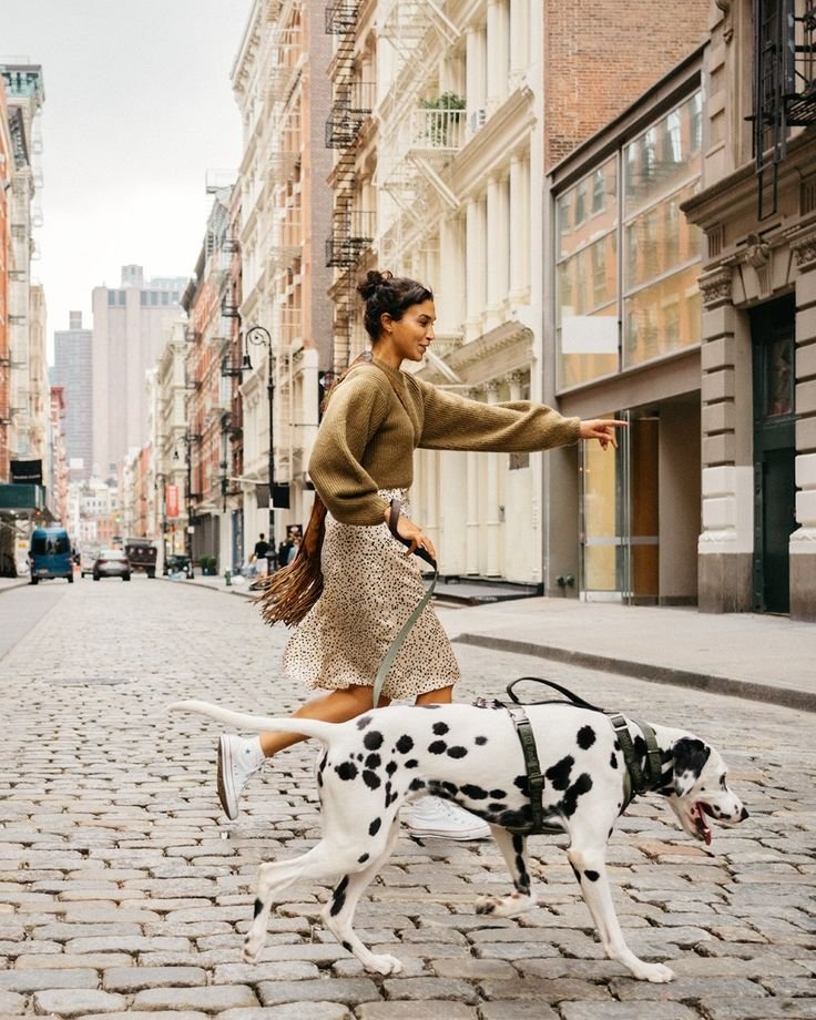 Look para passear com o cachorro: estilo e conforto que transformam até a volta do quarteirão em um momento especial 10 ideias de Looks para passear com o cachorro