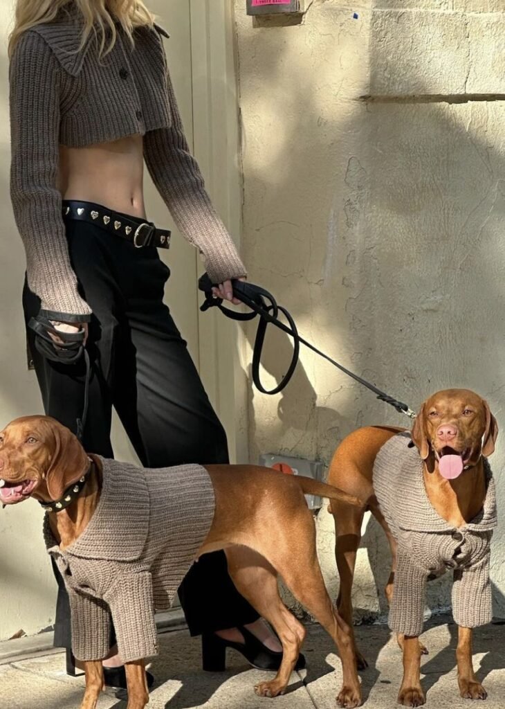Look para passear com o cachorro: estilo e conforto que transformam até a volta do quarteirão em um momento especial 3 Looks para passear com o cachorro