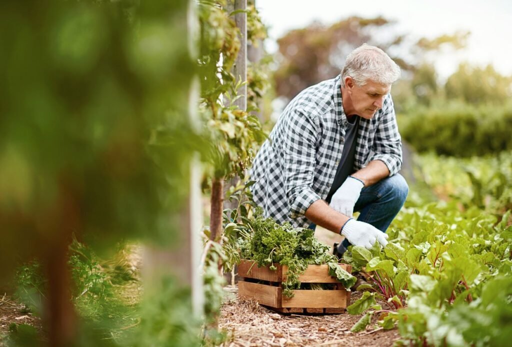 Ganhar dinheiro online